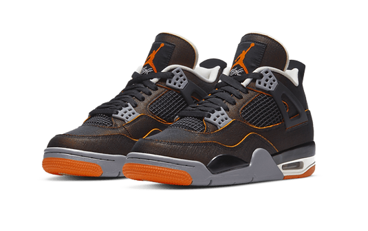 Air Jordan 4 SE Starfish