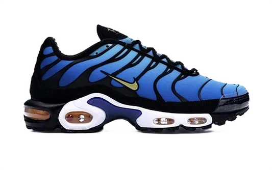 NIKE Air Max Plus ULTRA HYPER BLEU